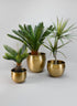 Devdas Brass Look Aluminium Indoor Garden Pot