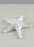 5.5in Long Artificial White Starfish Decor Jamali Garden