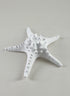 9in Long Artificial Giant White Knobby Starfish Decor Jamali Garden