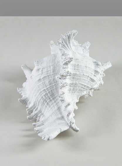 7.5in Long Artificial Giant Murex Seashell Decor Jamali Garden