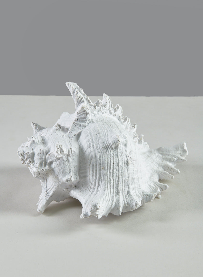 7.5in Long Artificial Giant Murex Seashell Decor Jamali Garden