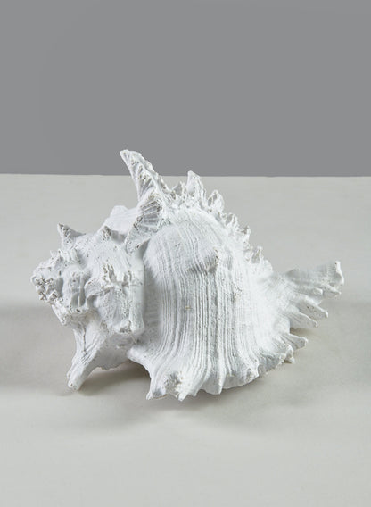 7.5in Long Artificial Giant Murex Seashell Decor Jamali Garden