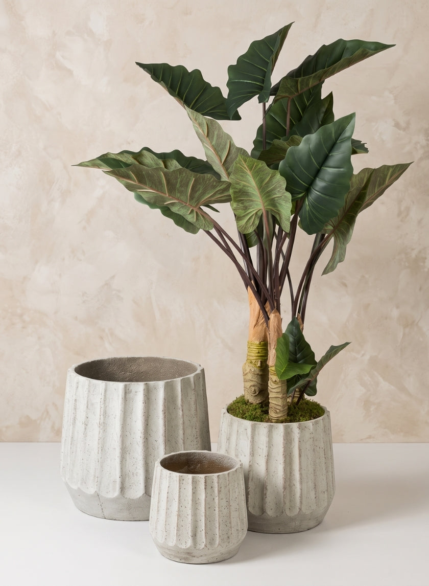 Agadir Ridged Fiber Cement Planter Decor Jamali Garden