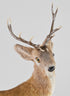 16in Tall Natural Deer, Case of 4 Decor Jamali Garden