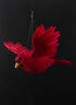 8.5in Long Flying Red Cardinal Ornament, Case of 6 Decor Jamali Garden