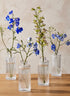 5.25in Tall Clear Pleated Glass Bottle Bud Vase, Set of 4 Decor Jamali Garden