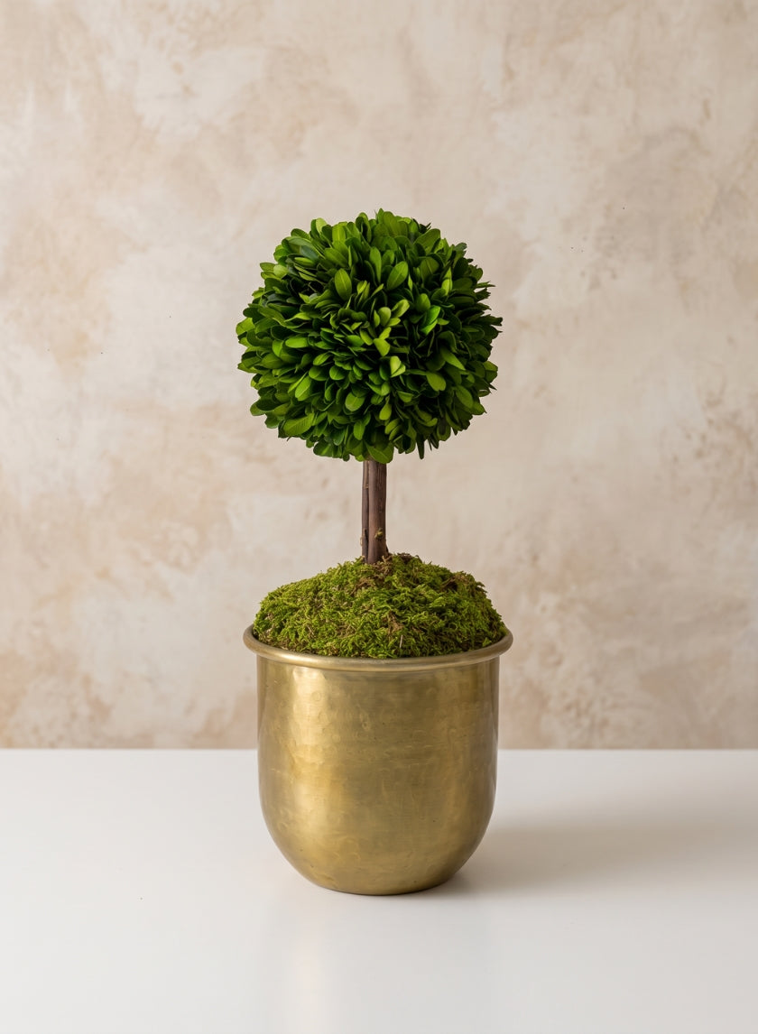 LuckNow Brass look Aluminum Pot Decor Jamali Garden