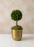 LuckNow Brass look Aluminum Pot Decor Jamali Garden