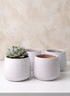 A set of four 4in Tall Florist Choice Matte White Bell Cachepots is displayed on a white surface with one holding a small succulent and the others empty, against a beige textured background.