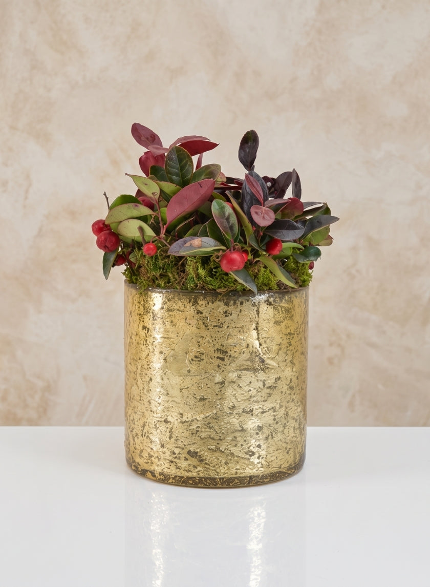 5in Tall Gold Glass Vase Decor Jamali Garden