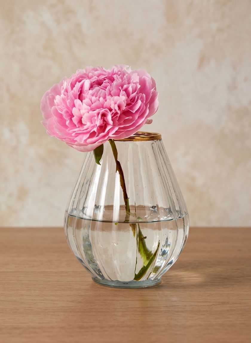 6in Tall Gold Rim Balloon Glass Vase Decor Jamali Garden