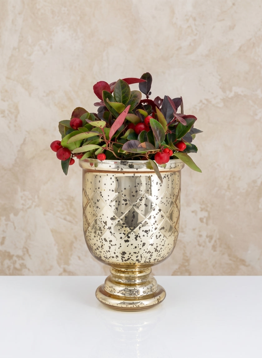 7in Tall Etched Gold Glass Hurricane