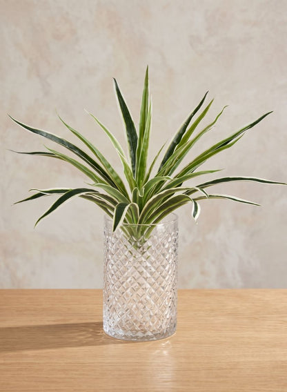 6in Tall Diamond Cut Glass Round Vase Decor Jamali Garden