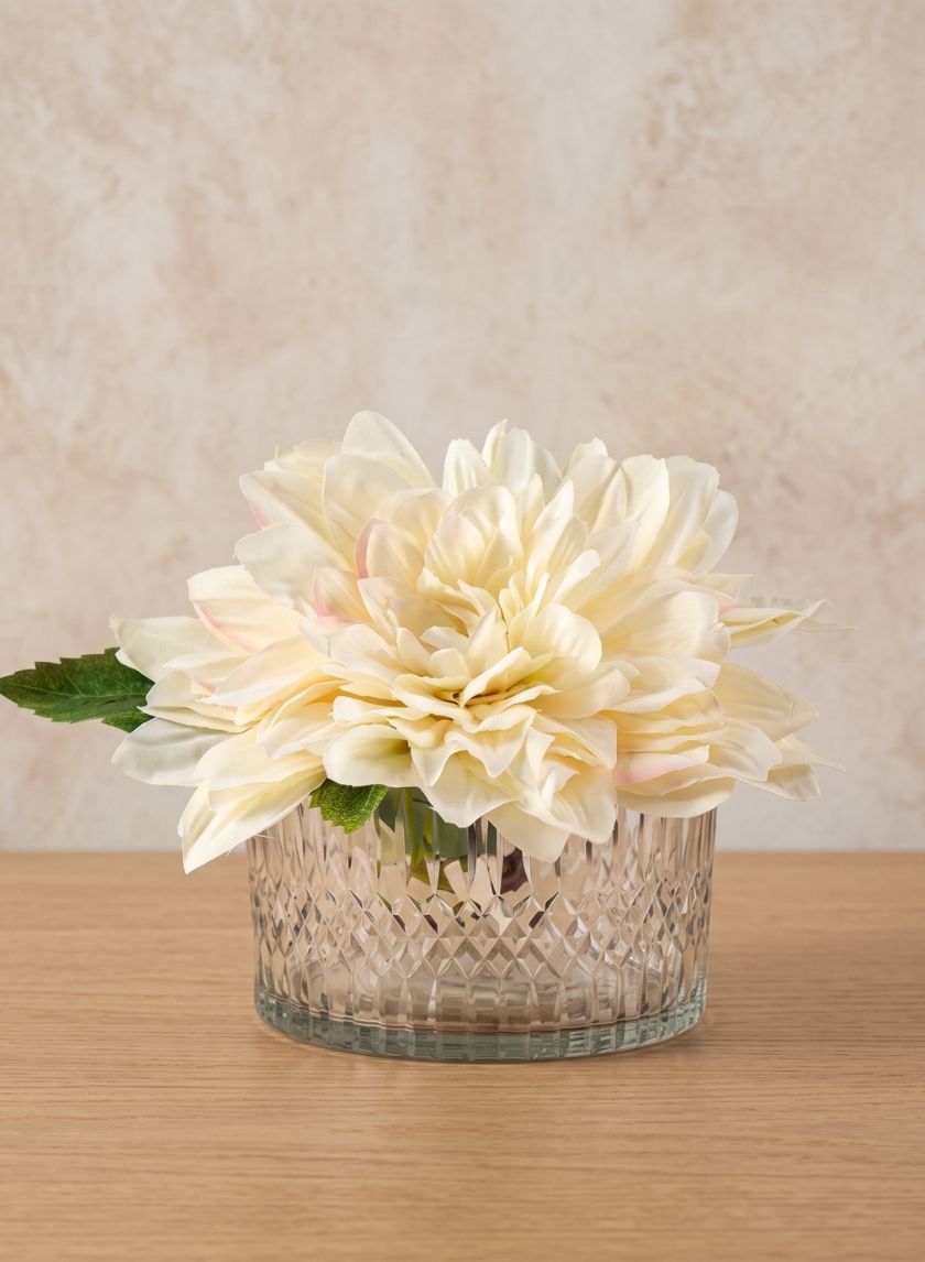 5.5in Wide Limoge Etched Low Glass Cylinder Decor Jamali Garden