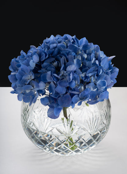 Nuage Cut Work Glass Fishbowl Decor Jamali Garden