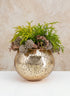 8in Wide Gold Glass Fish Bowl Decor Jamali Garden