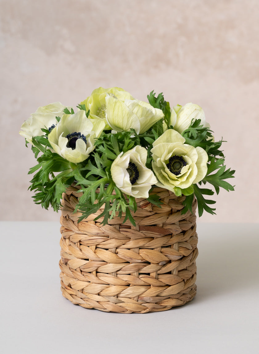 5in Da Nang Hyacynth Vase