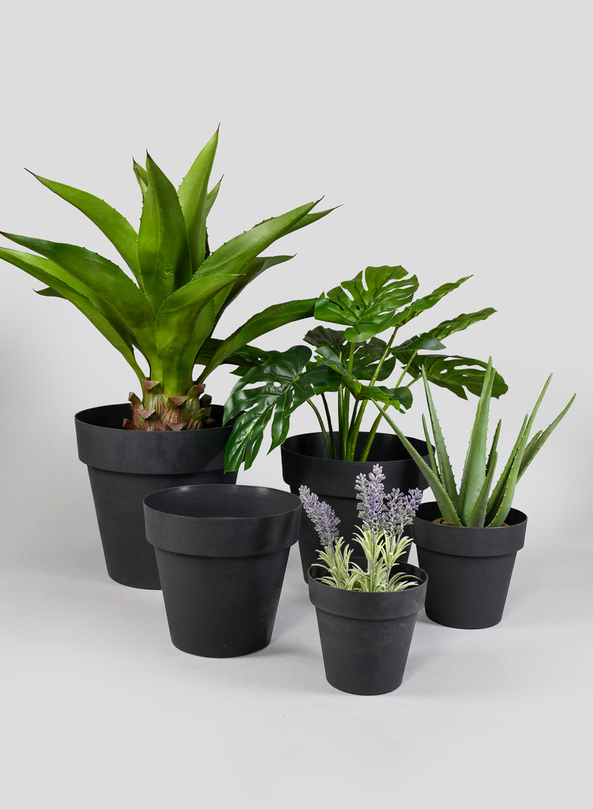 standard plants for pots Deroma 5.9" Like Recycled Plastic Black