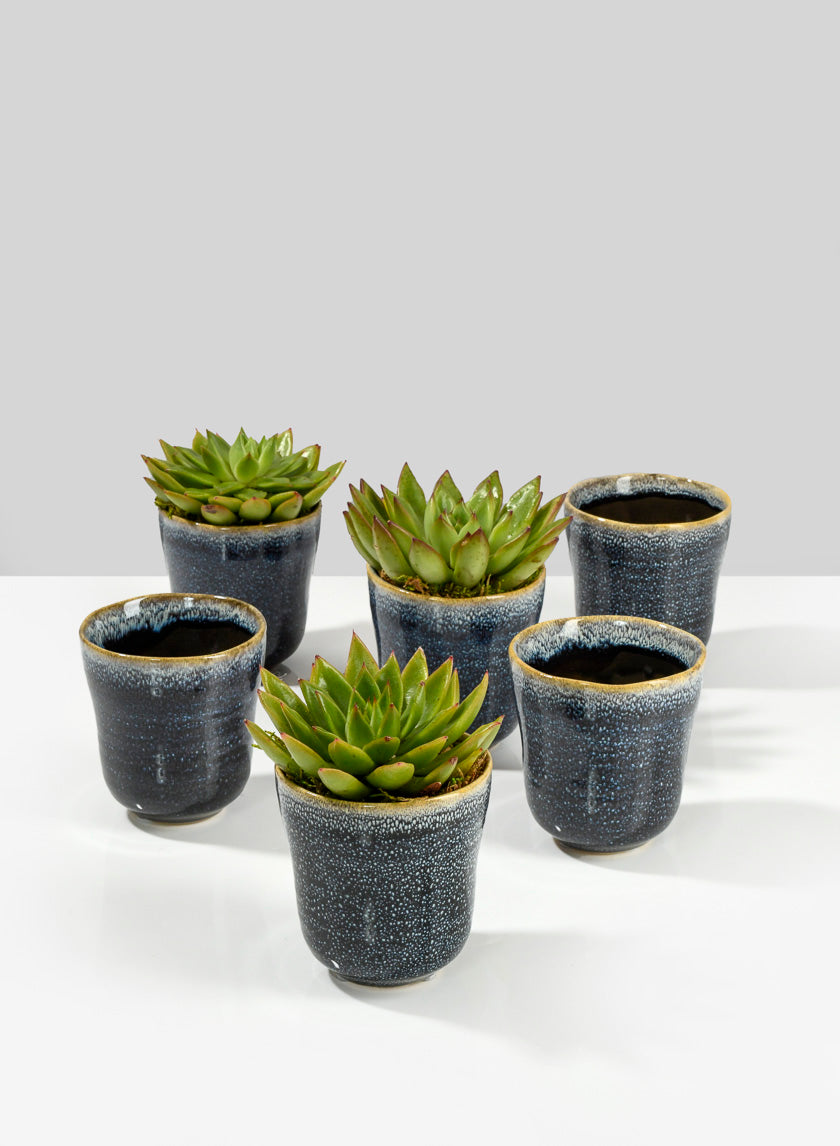 glazed ceramic indoor plant pots Jamali Garden | Blue Ceramic Ripple Pot – 3.5in Tall
