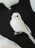 4in Long White Glitter Mini Bird, Case of 12 Decor Jamali Garden