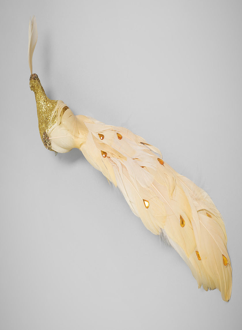 12in Long Fancy Gold Peacock Ornament, Case of 6 Decor Jamali Garden