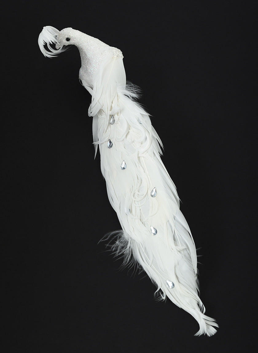 12in Long Fancy White Peacock Ornament, Case of 6 Decor Jamali Garden