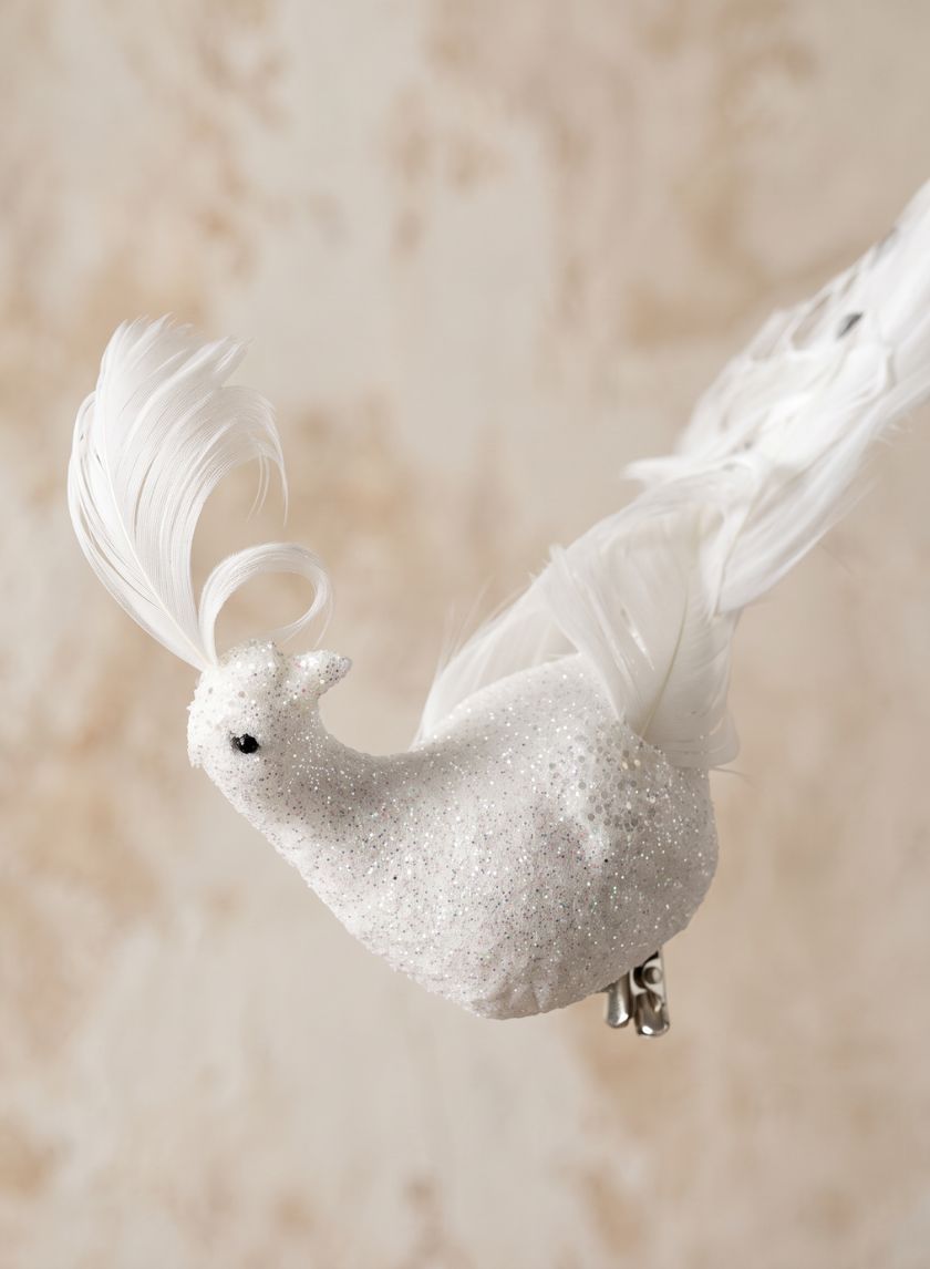 12in Long Fancy White Peacock Ornament, Case of 6 Decor Jamali Garden