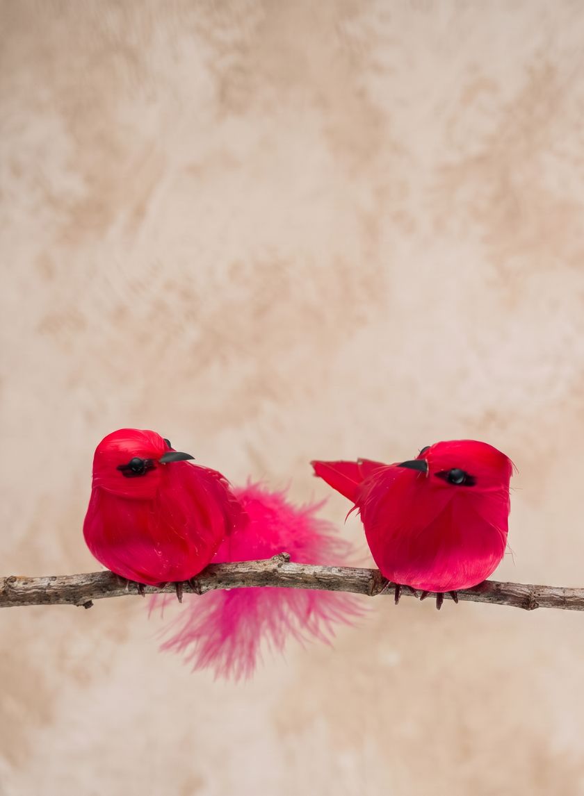 5in Long Red Robbin Hood Birds, Set of 4 Decor Jamali Garden