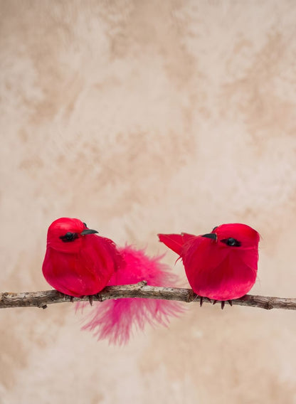 5in Long Red Robbin Hood Birds, Set of 4 Decor Jamali Garden
