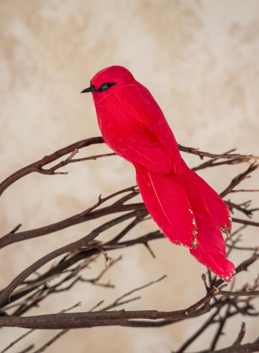 5in Long Red Robbin Hood Birds, Set of 4 Decor Jamali Garden