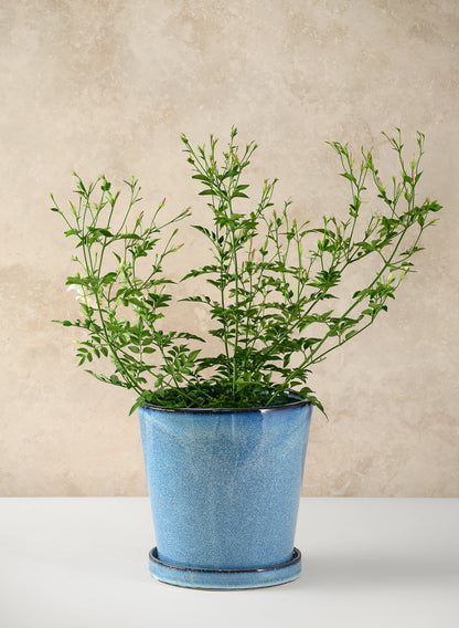 Ming Ceramic Pot with Saucer, Ice Blue Decor Jamali Garden