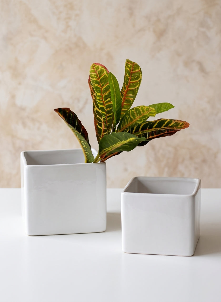 Gloss White Ceramic Cubes