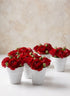 3in Tall Gloss White Standard Pot, Set of 6 Decor Jamali Garden