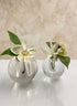 Crystal Ball Glass Vase Decor Jamali Garden