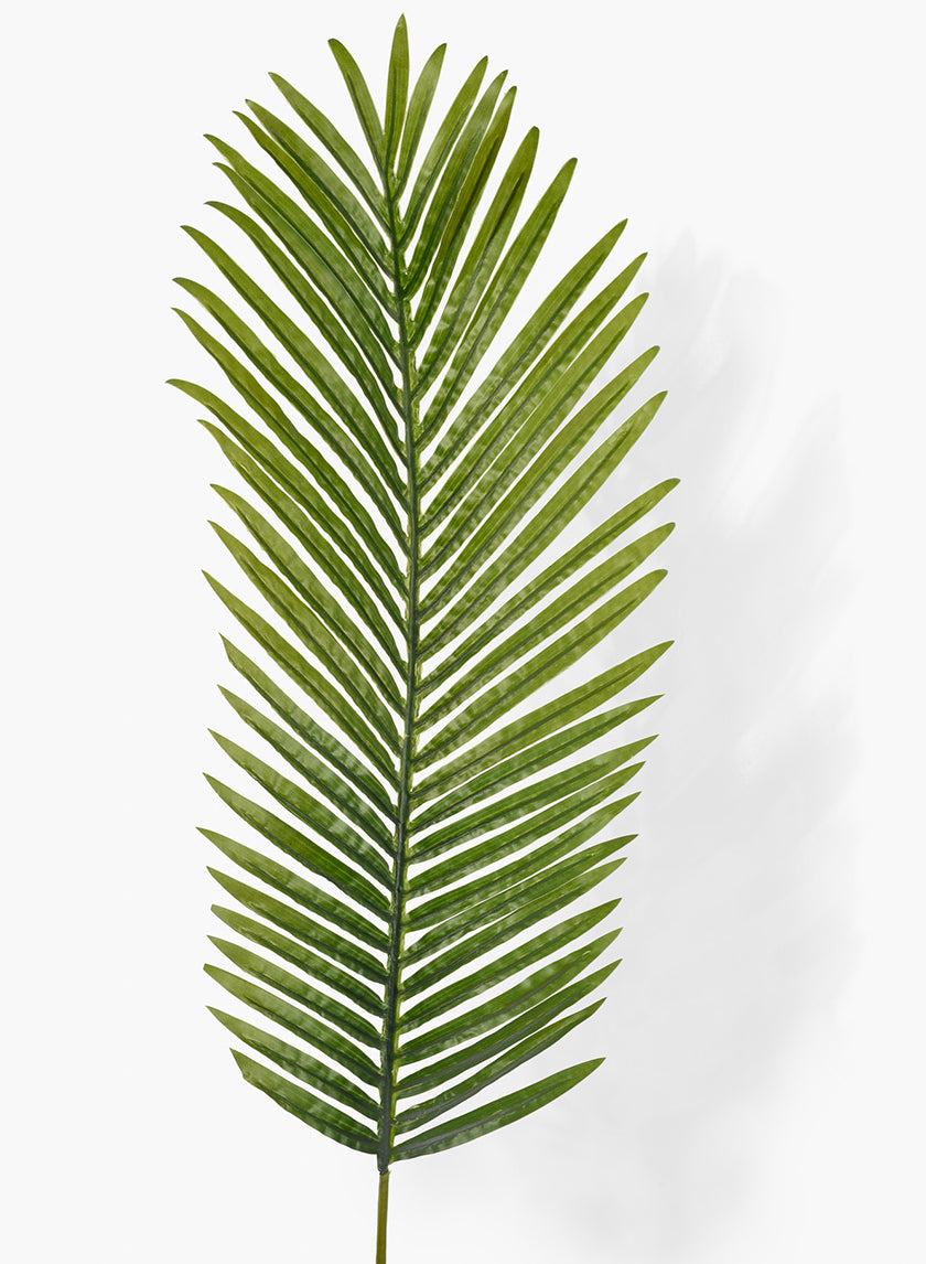 areca palm decoration 45in Long Areca Palm Leaf, Case of 12 – Jamali Garden
