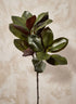 32in Long Magnolia Leaves Spray, Case of 6 Decor Jamali Garden