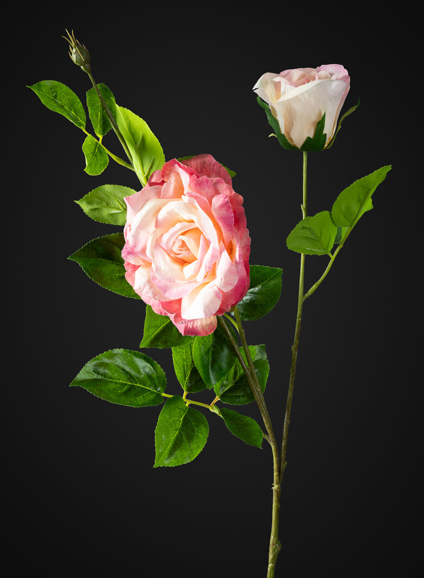32in Long Pink Real Touch Garden Rose Spray, Case of 12 – Jamali