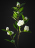 34in Long White Camellia Spray, Case of 12 Decor Jamali Garden