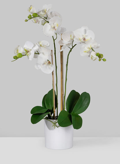 26in Tall of 3 White Phalaenopsis Orchids In Pot Decor Jamali Garden