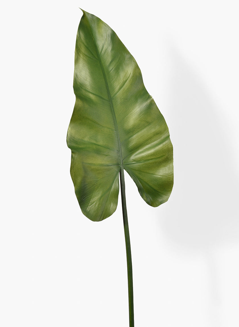 calla lily plant leaves 33in Long Calla Lily Leaf, Case of 12