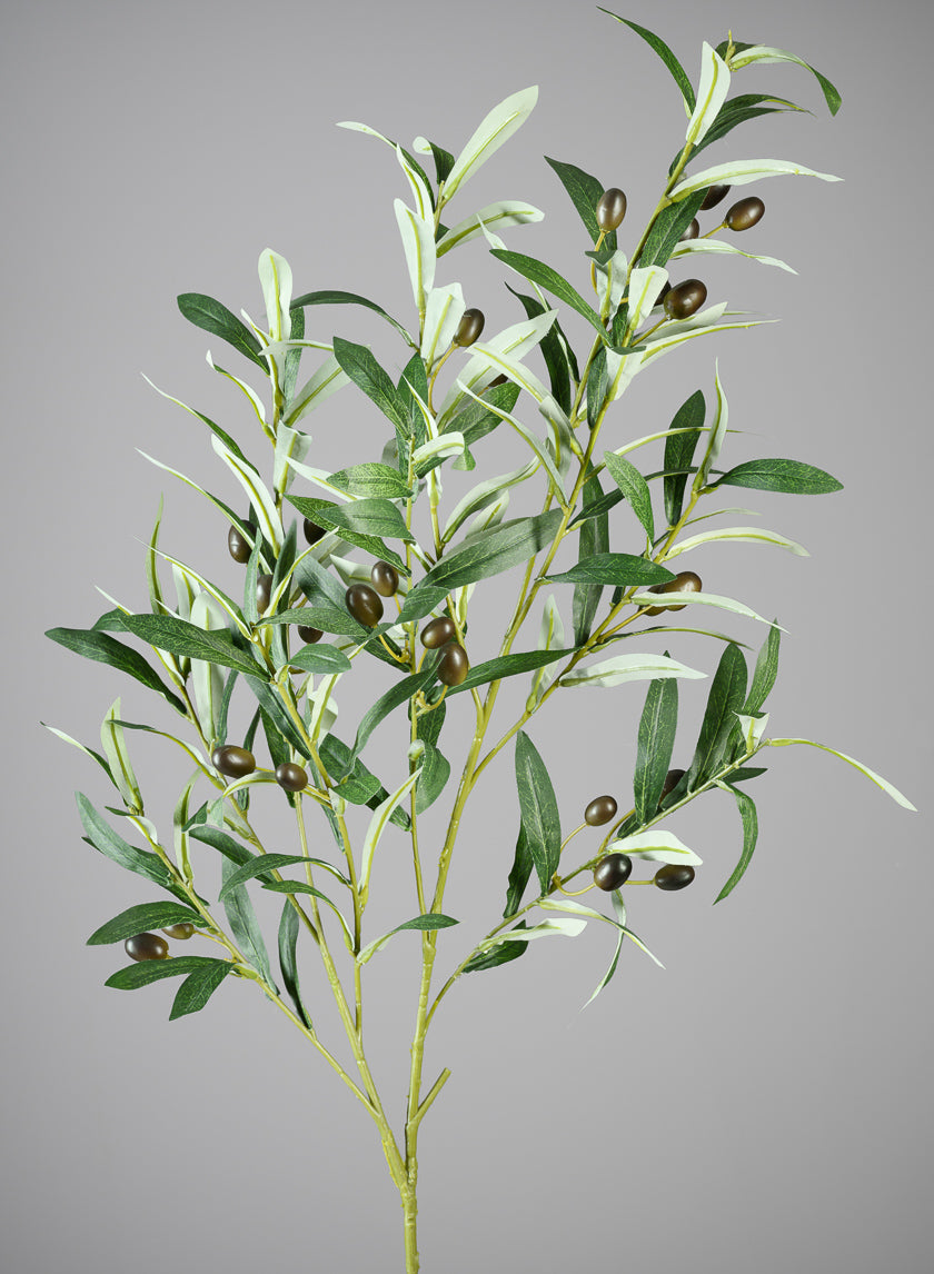 ILL　オリーブJ51.J53セット 39in Long Olive Branch with Olives, Case of 6 – Jamali Garden