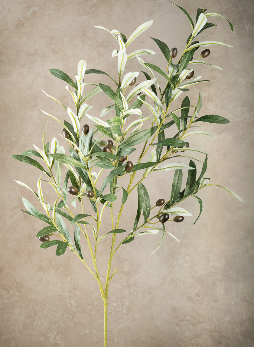 39in Long Olive Branch with Olives, Case of 6 – Jamali Garden