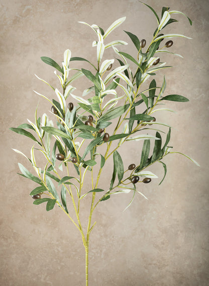 39in Long Olive Branch with Olives, Case of 6 Decor Jamali Garden