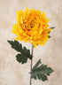 28in Spider Mum, Autumn Yellow