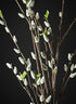 52in Long Pussy Willow Branch, Case of 12 Decor Jamali Garden