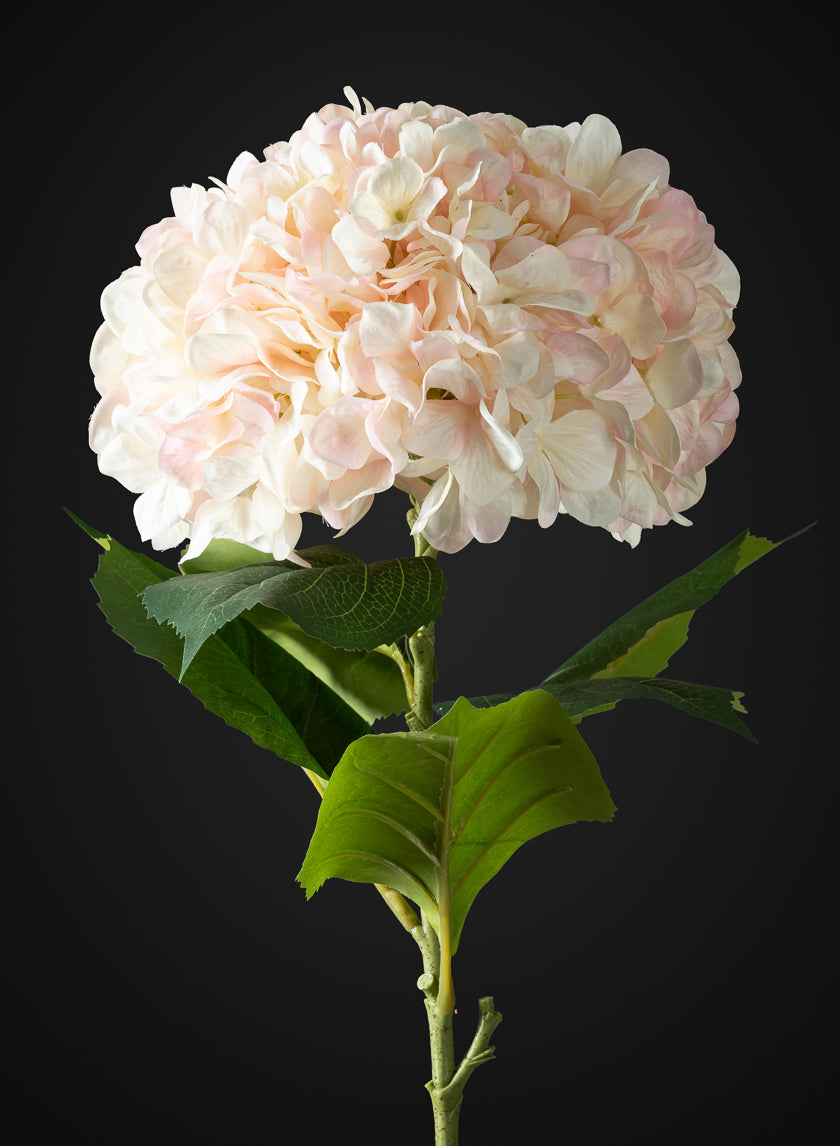 42in Long Light Pink Real Touch Mophead Hydrangea Stem, Case of 6 Decor Jamali Garden