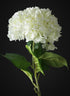 42in Long White Real Touch Mophead Giant Hydrangea Stem, Case of 6 Decor Jamali Garden