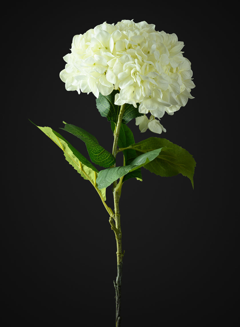42in Long White Real Touch Mophead Giant Hydrangea Stem, Case of 6 Decor Jamali Garden