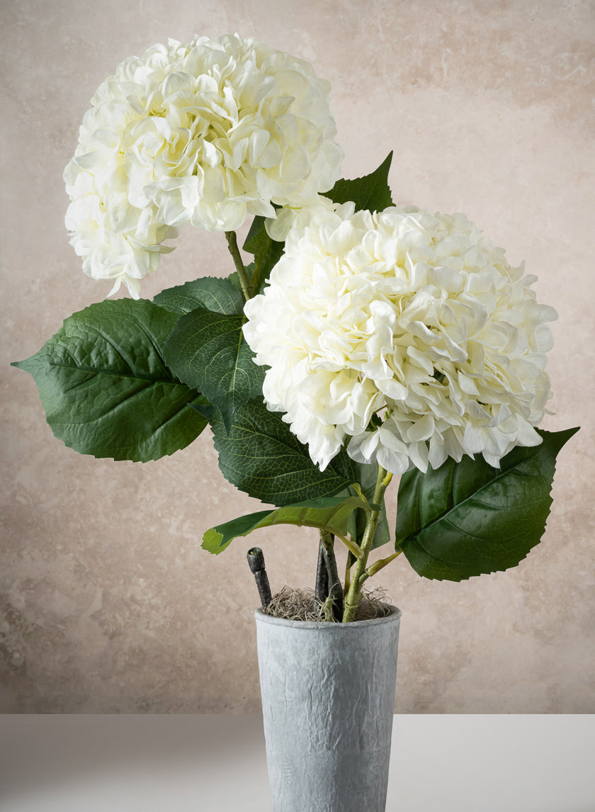 42in Long White Real Touch Mophead Giant Hydrangea Stem, Case of 6 Decor Jamali Garden