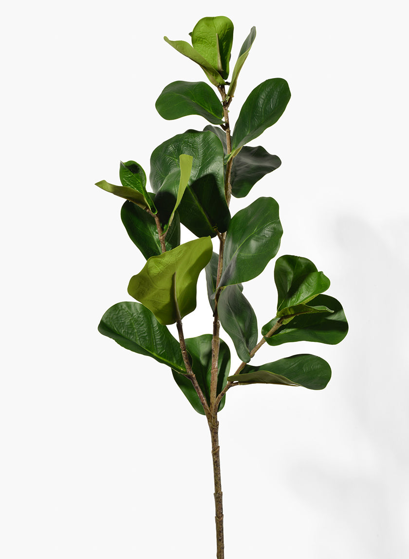 faux fiddle leaf fig stem 30in Long Fiddle Leaf Fig Spray, Case of 12